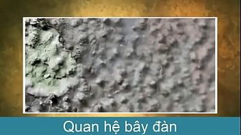 Reproducir Bài 28 thc hành xem bng hình v tp tính sâu b