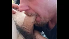 Играть Hang Gay Stud становится интенсивным минет